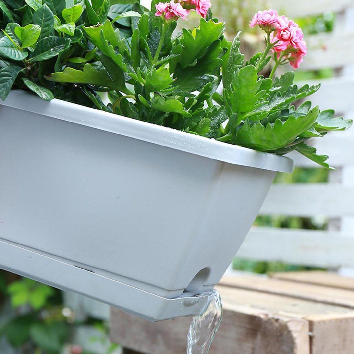 Hollen Pot Family Rectangular Planter for Vegetables & Flowers