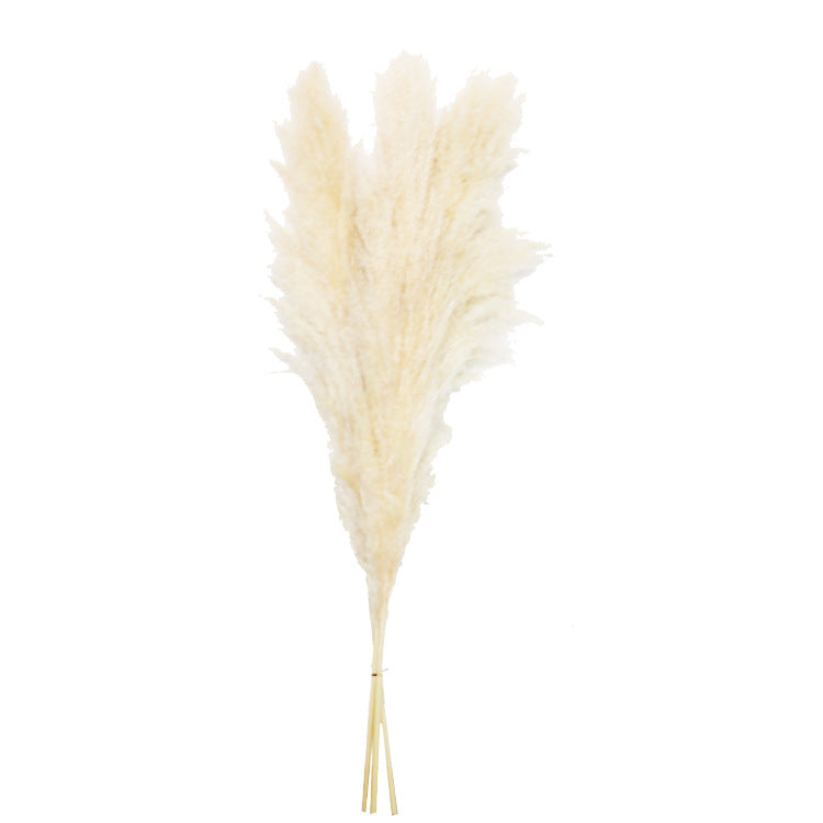 Bulk Dried Reed Flower Bouquet for Nordic Wedding Decor