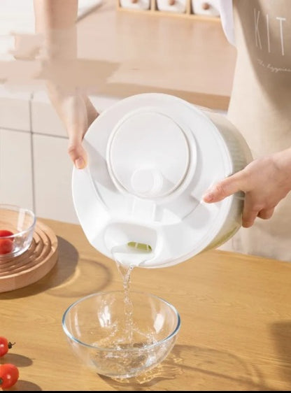 Household Vegetable Dehydrator