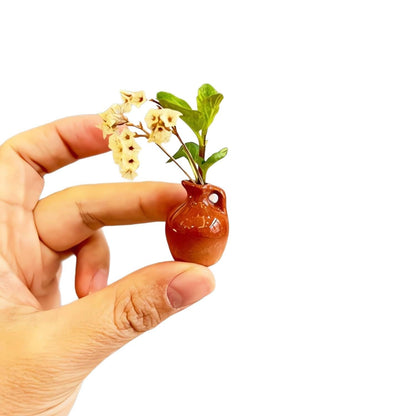 Mini Vase Refrigerator Magnets Set