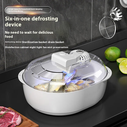 Household Quick Defrosting Plate