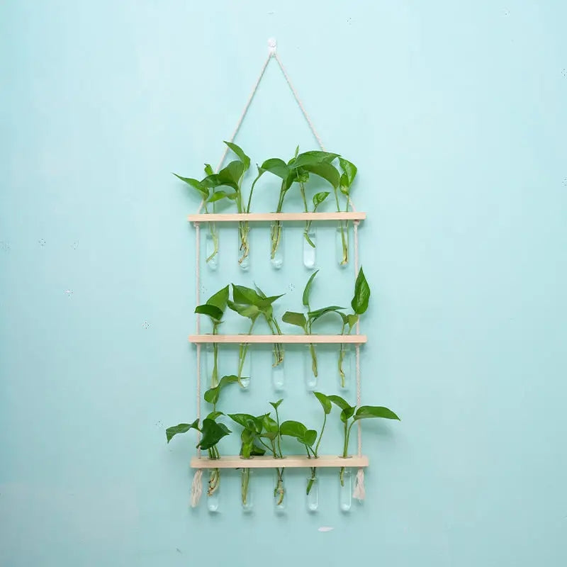 3-Layer Solid Wood Hydroponic Glass Vase Wall Decor