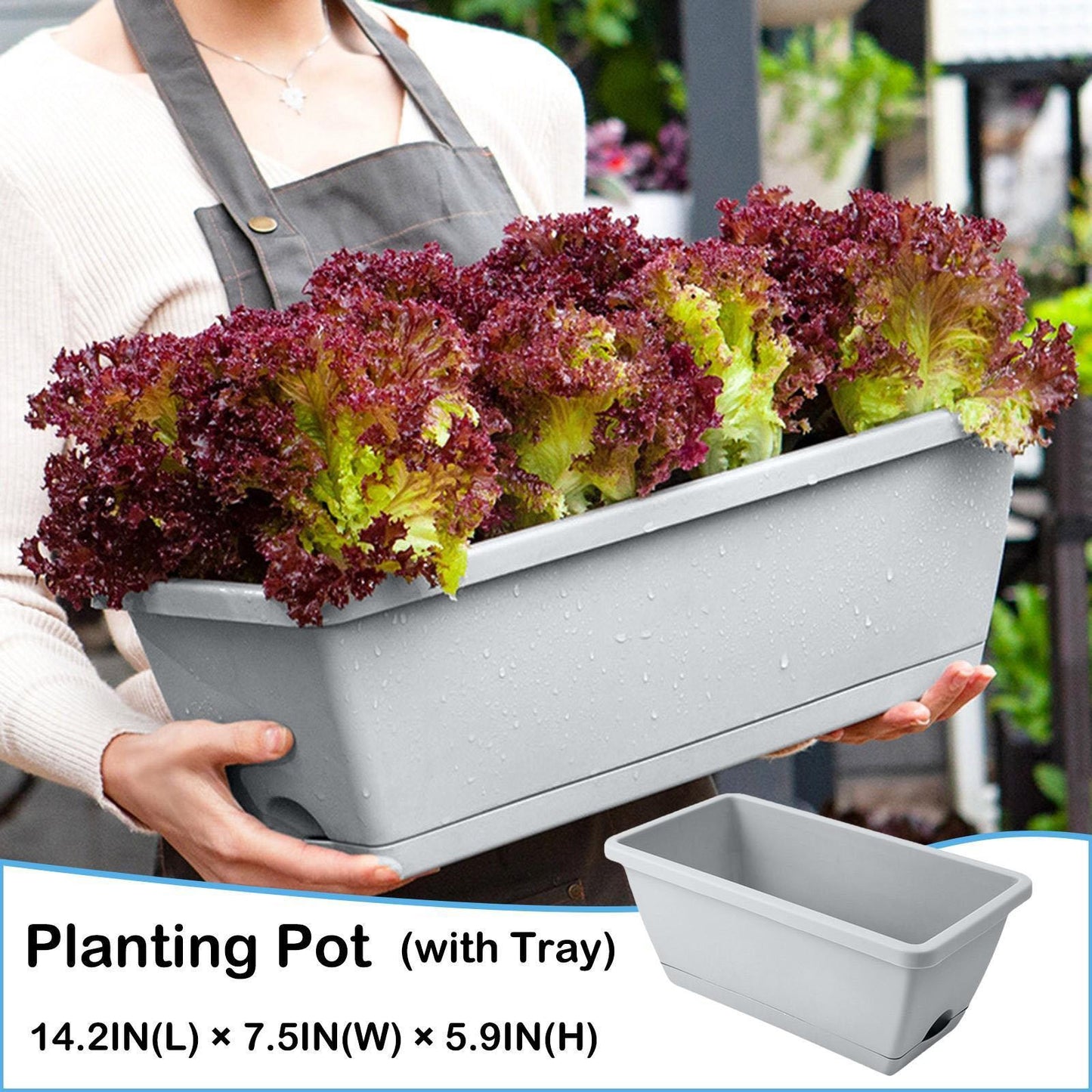 Hollen Pot Family Rectangular Planter for Vegetables & Flowers