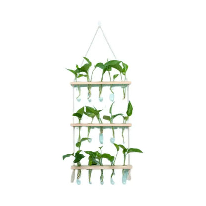 3-Layer Solid Wood Hydroponic Glass Vase Wall Decor