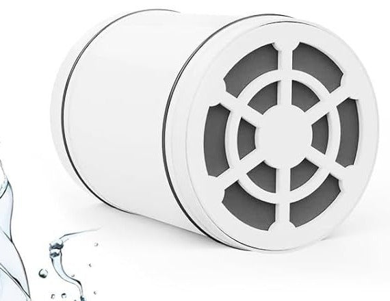6-inch Round Shower Head with Chlorine Filter