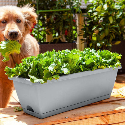 Hollen Pot Family Rectangular Planter for Vegetables & Flowers