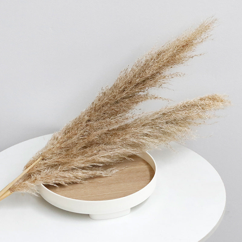 Bulk Dried Reed Flower Bouquet for Nordic Wedding Decor