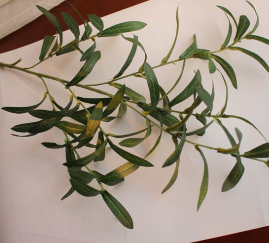 Single Olive Leaf Artificial Plant Branch Decor