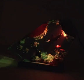Killer Whale & Turtle Resin Night Light