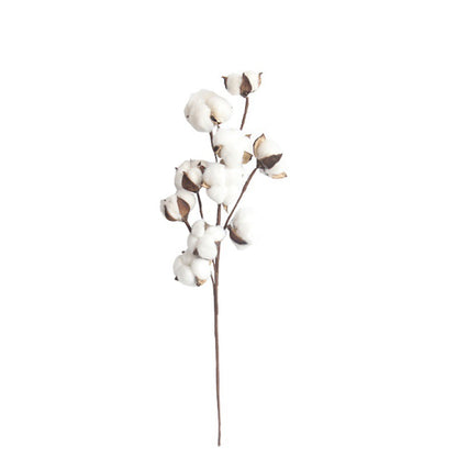 Dried Cotton Flower Stems for DIY Bouquet Decoration