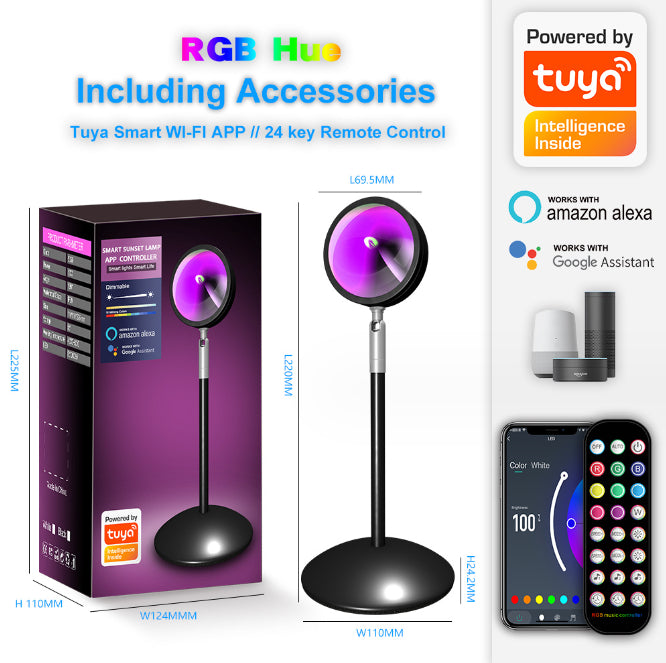 RGB Remote Floor Lamp
